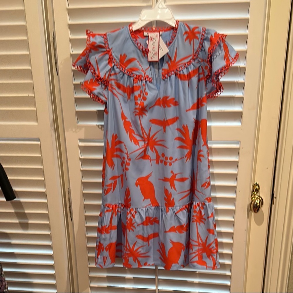 Joy Joy Blue and Red Mini Dress